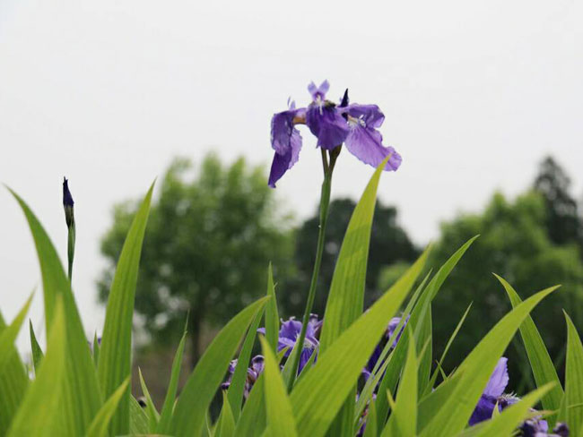 攝影學生作品展示