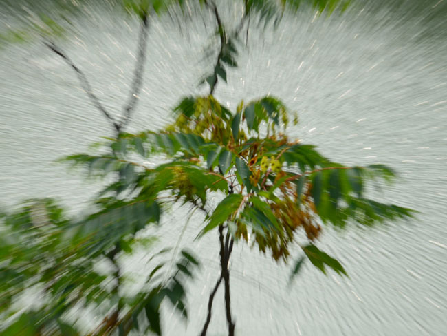 攝影學(xué)生作品展示